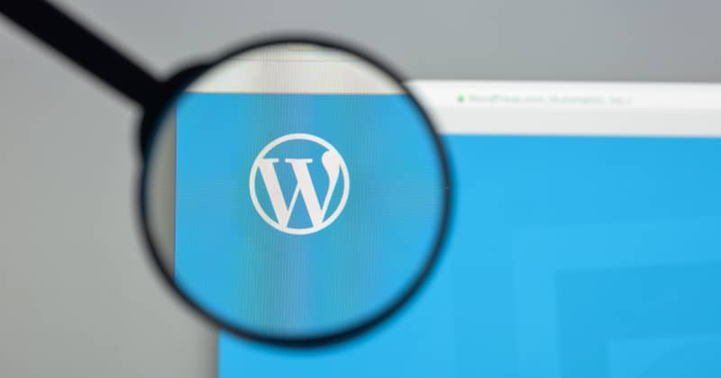 wordpress seo